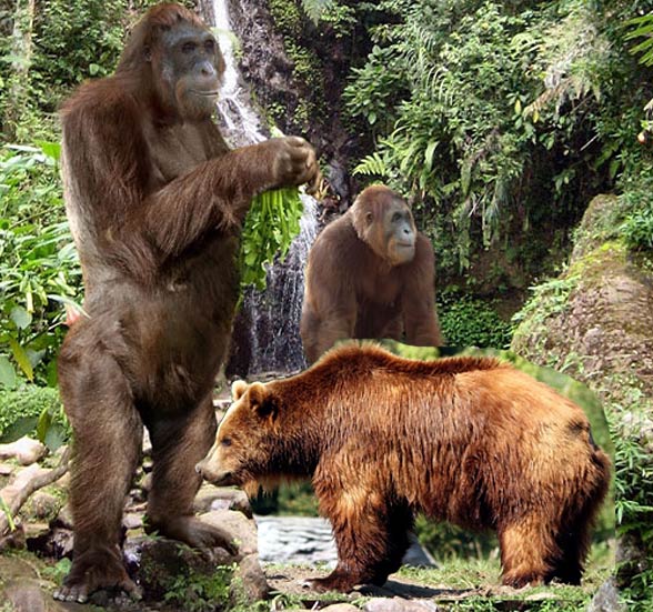 Gigantopithecus