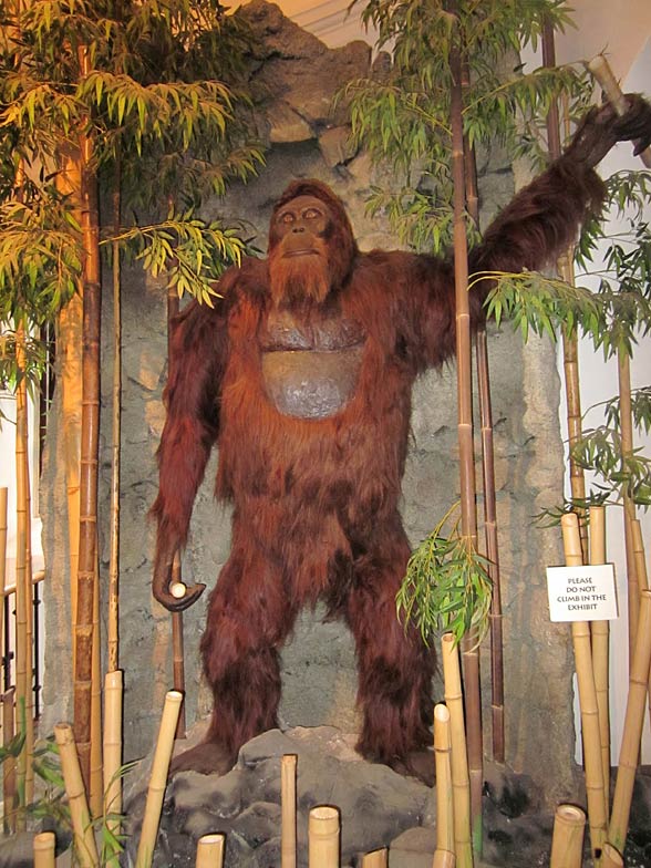 Gigantopithecus