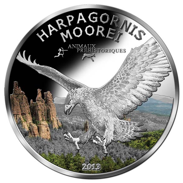  Haast's eagle (Harpagornis moorei)