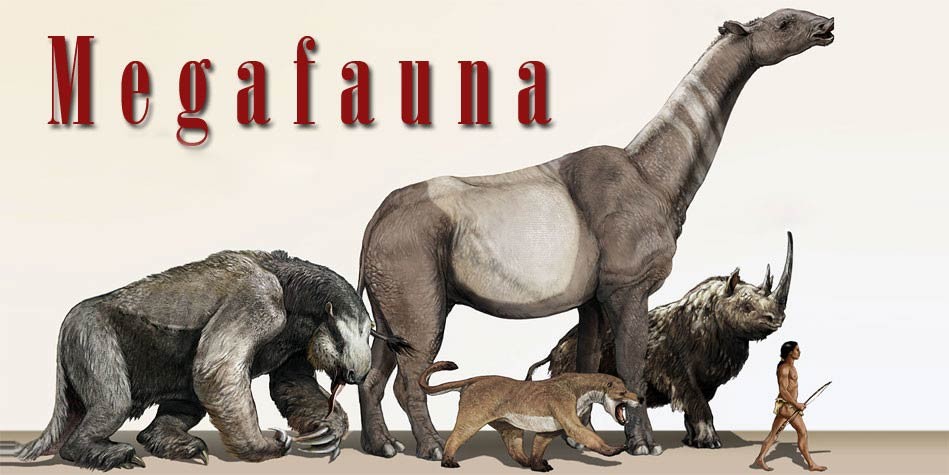 Megafauna – big animals 