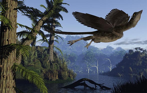 Archaeopteryx