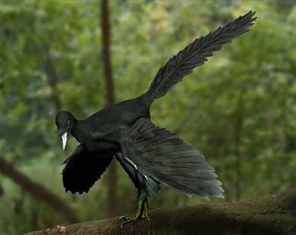 dino archaeopteryx