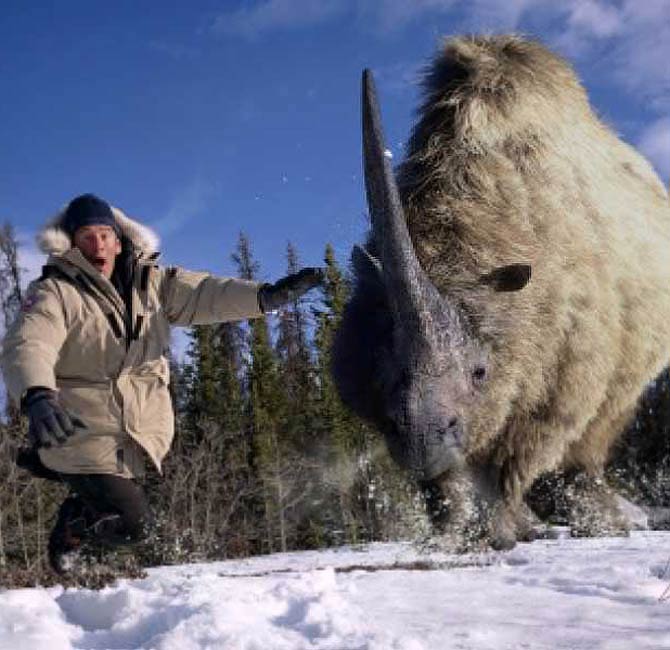 elasmotherium prehistoric park