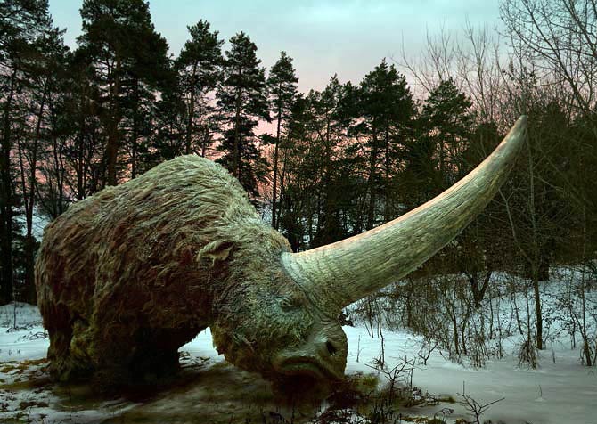 elasmotherium prehistoric park