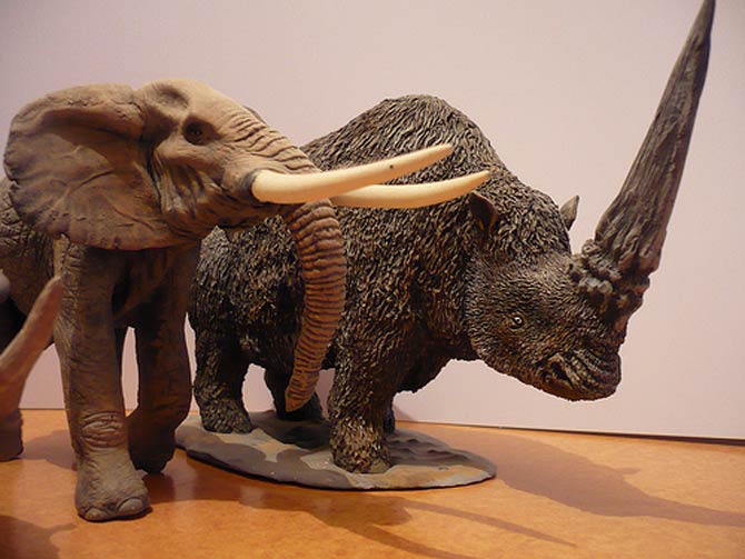 prehistoric rhinoceros art
