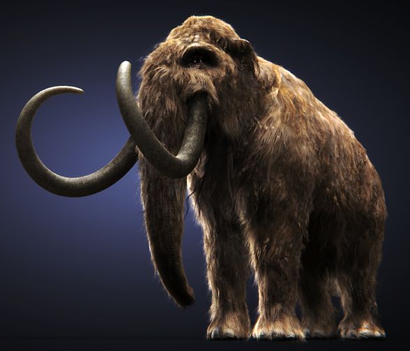 Mammoth