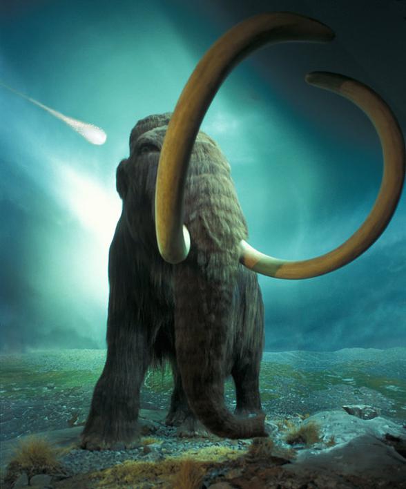 Mammoth