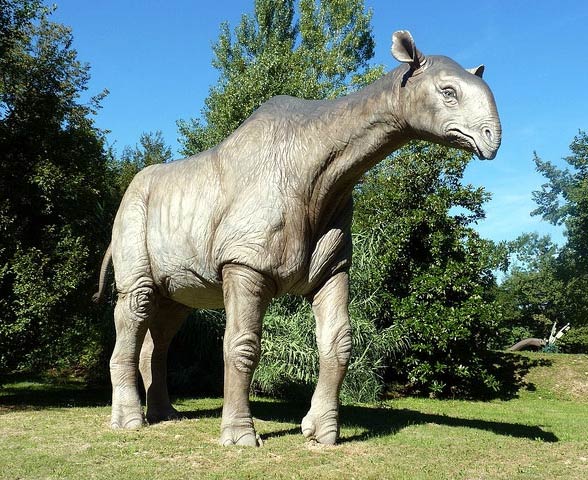 Indricotherium, Paraceratherium, Baluchitherium