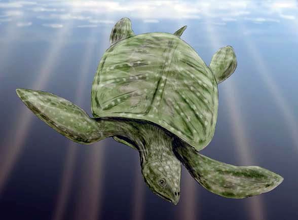 Archelon ischyros