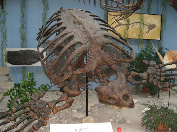 Archelon Ischyros The Largest Known Turtle Dinoanimals Com