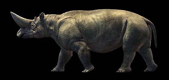 Arsinoitherium