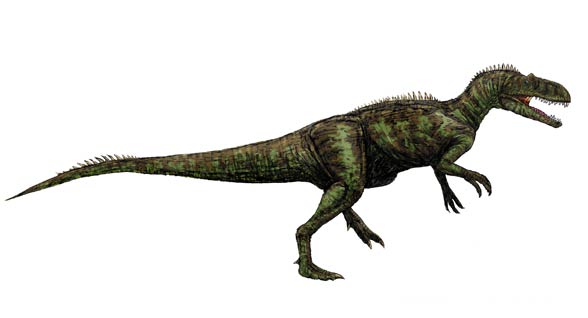 Chilantaisaurus, (Chilantaisaurus tashuikouensis)