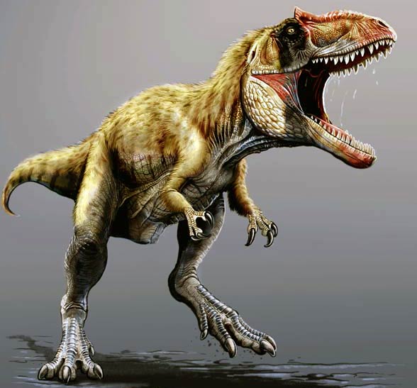 dinosaur siats meekerorum