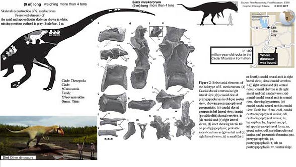 dinosaur siats meekerorum