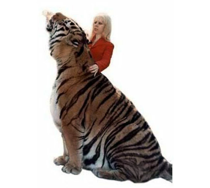 largest feline species