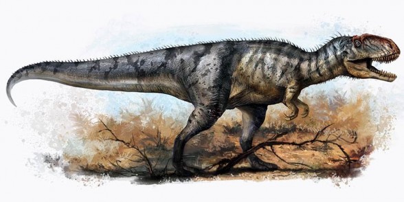 yangchuanosaurus pnso