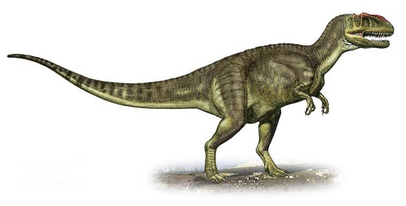 Yangchuanosaurus