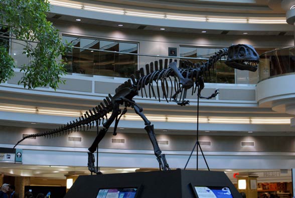 Yangchuanosaurus