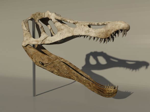 Baryonyx