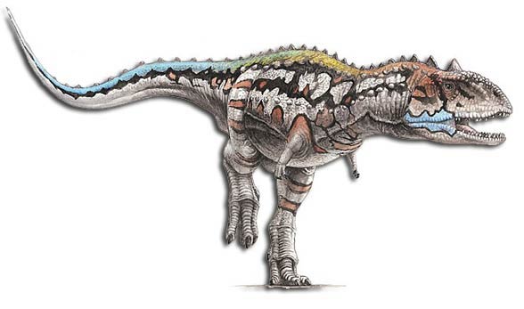 majungasaurus size