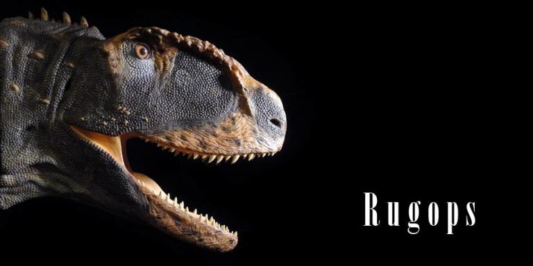 Rugops – African predator | DinoAnimals.com