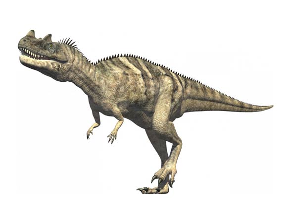 Ceratosaurus