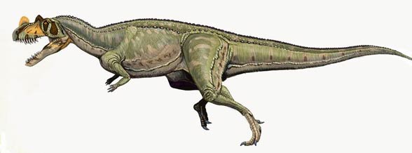 Ceratosaurus