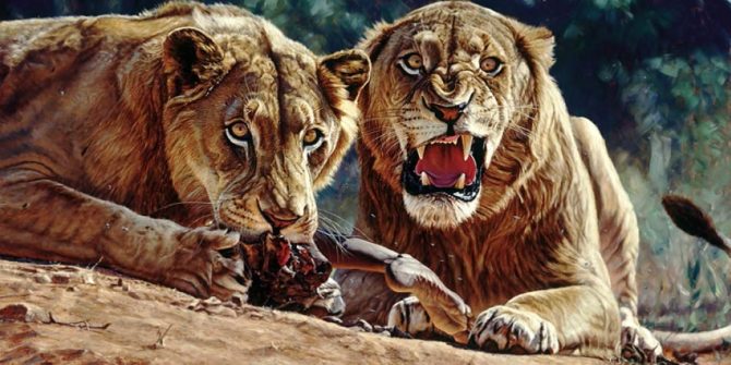 Tsavo lions – Man-Eaters of Tsavo | DinoAnimals.com