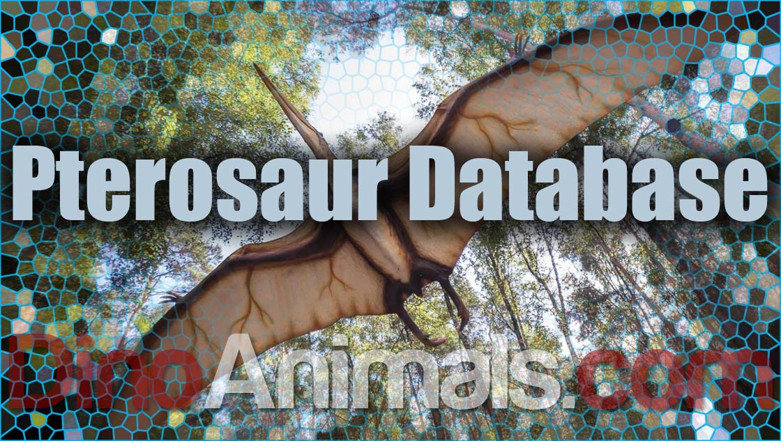 Pterosaur Database