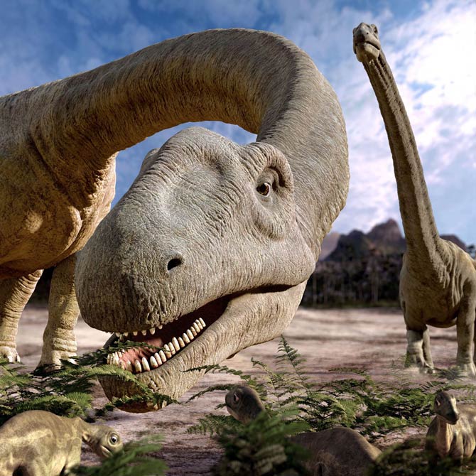 Sauropods - the largest dinosaurs