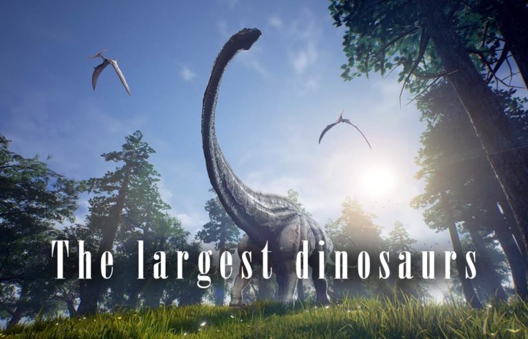 top 5 largest dinosaurs