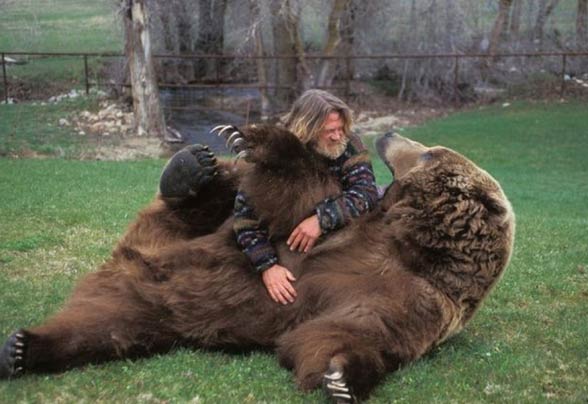 kodiak-the-largest-brown-bear-dinoanimals