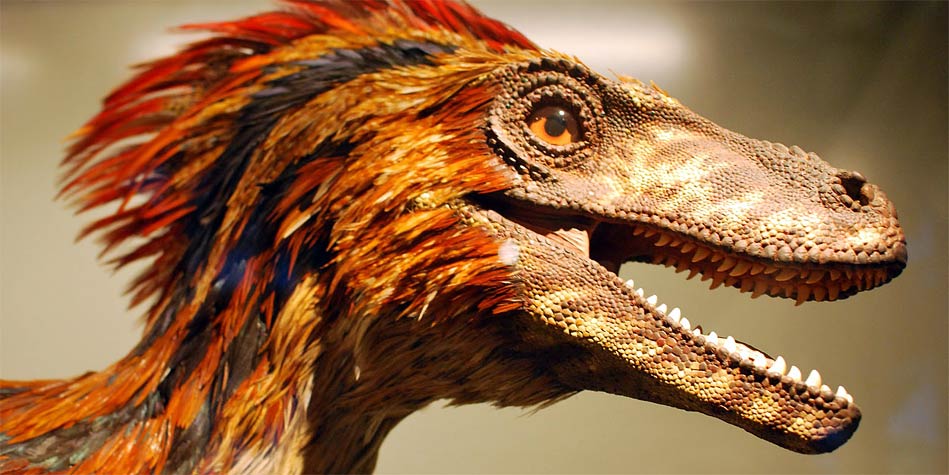 Deinonychus Dinosaur, Facts - Deinonychus Pictures.