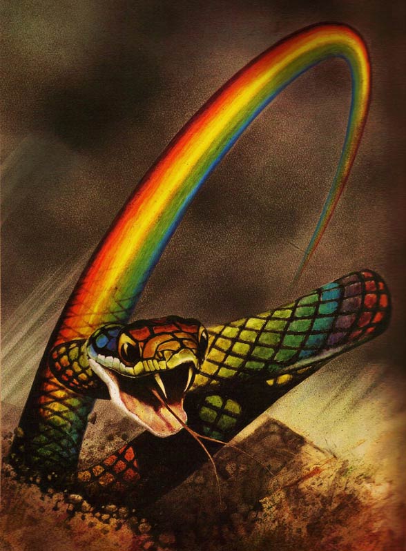 rainbow snake story