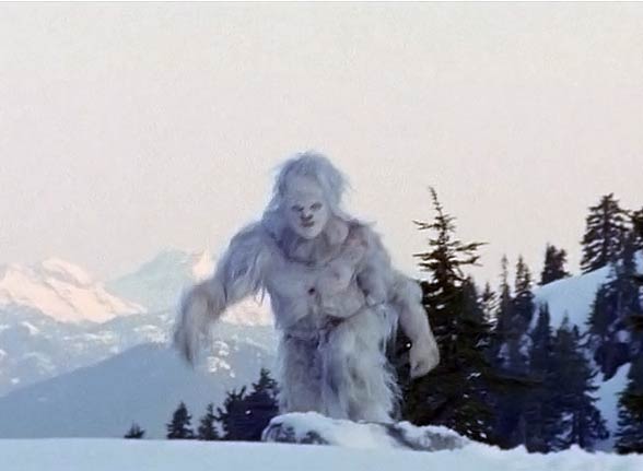 Abominable Snowman, Description & Theories