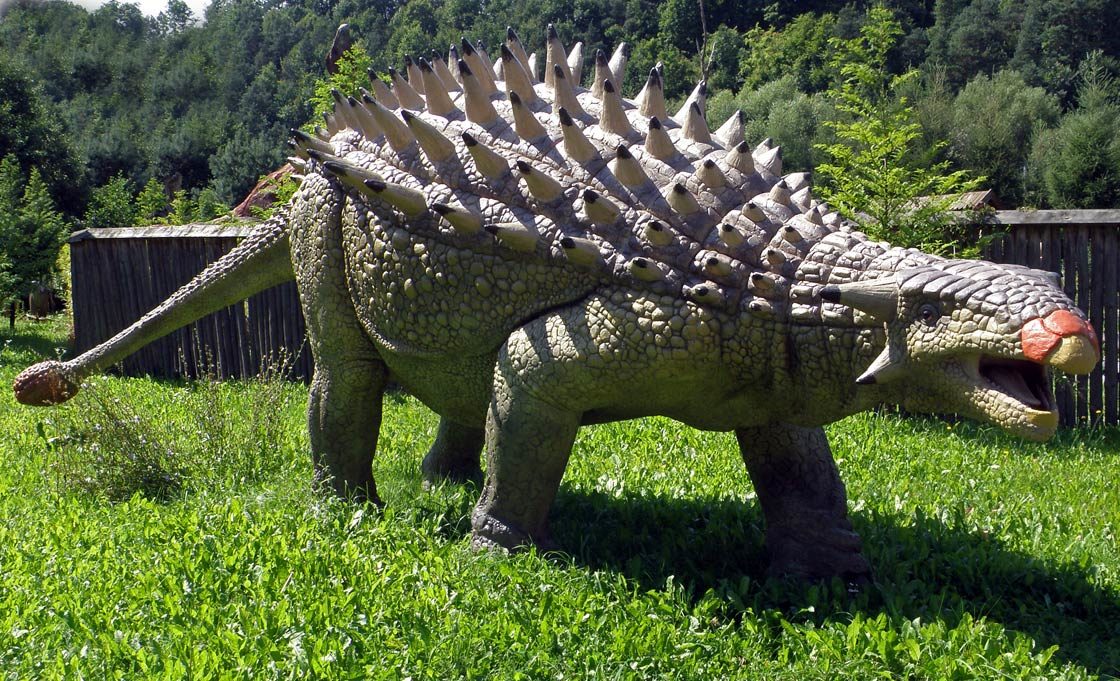 The heaviest Ankylosaurus Top 10. Weight of Ankylosaurus | DinoAnimals.com