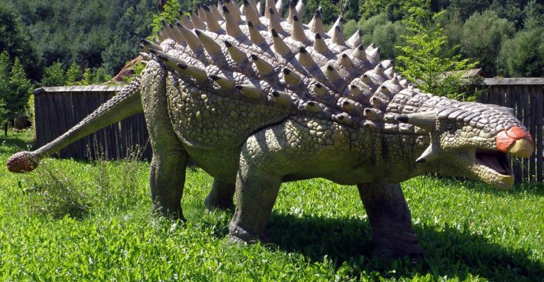 dinosaur that looks like an ankylosaurus