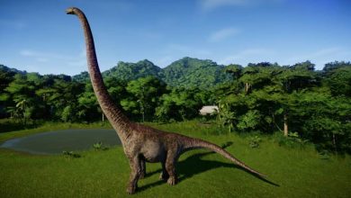 Dinosaurs with the longest necks – Barosaurus | DinoAnimals.com