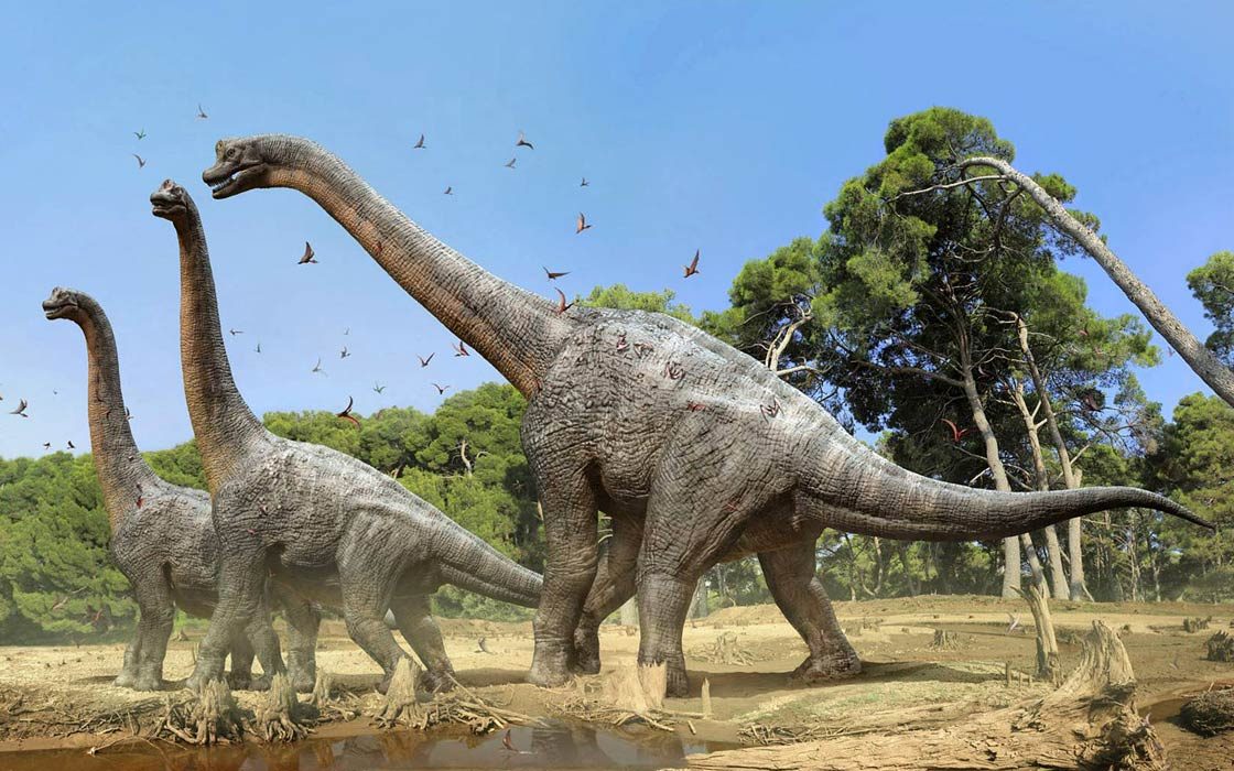 Brachiosaurus One of the largest and most famous herbivorous dinosaurs Brac...