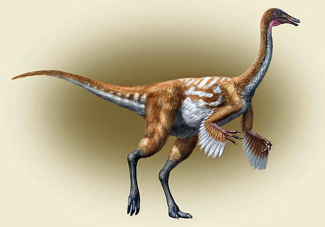 the gallimimus