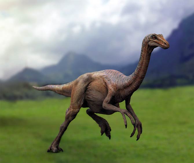 The Fastest Dinosaurs Gallimimus