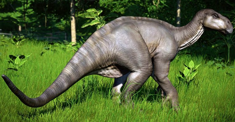 Iguanodon – one of the first dinosaurs discovered | DinoAnimals.com