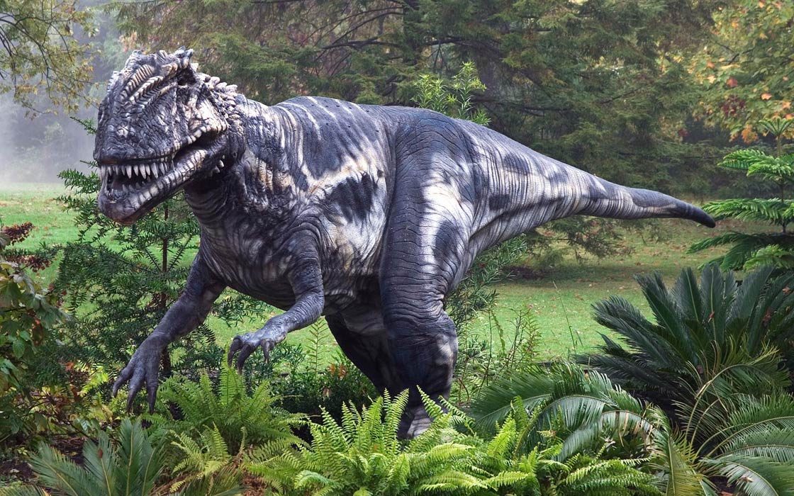 Megalosaurus – the first dinosaur discovered | DinoAnimals.com