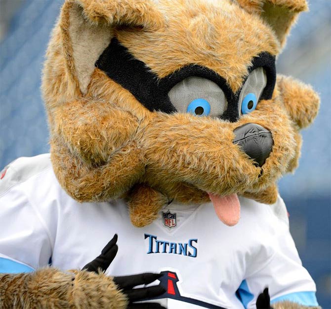 NFL's Obsession With Animal Mascots Revealed 