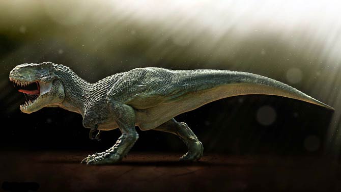 Tyrannosaurus rex (T. rex)