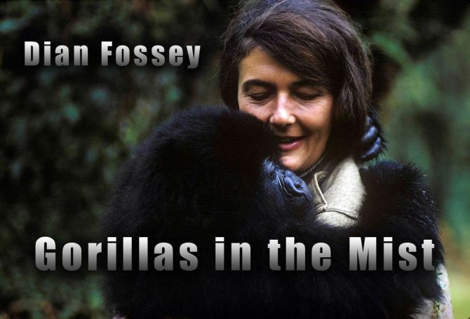Gorillas in the Mist – the story of Dian Fossey | DinoAnimals.com