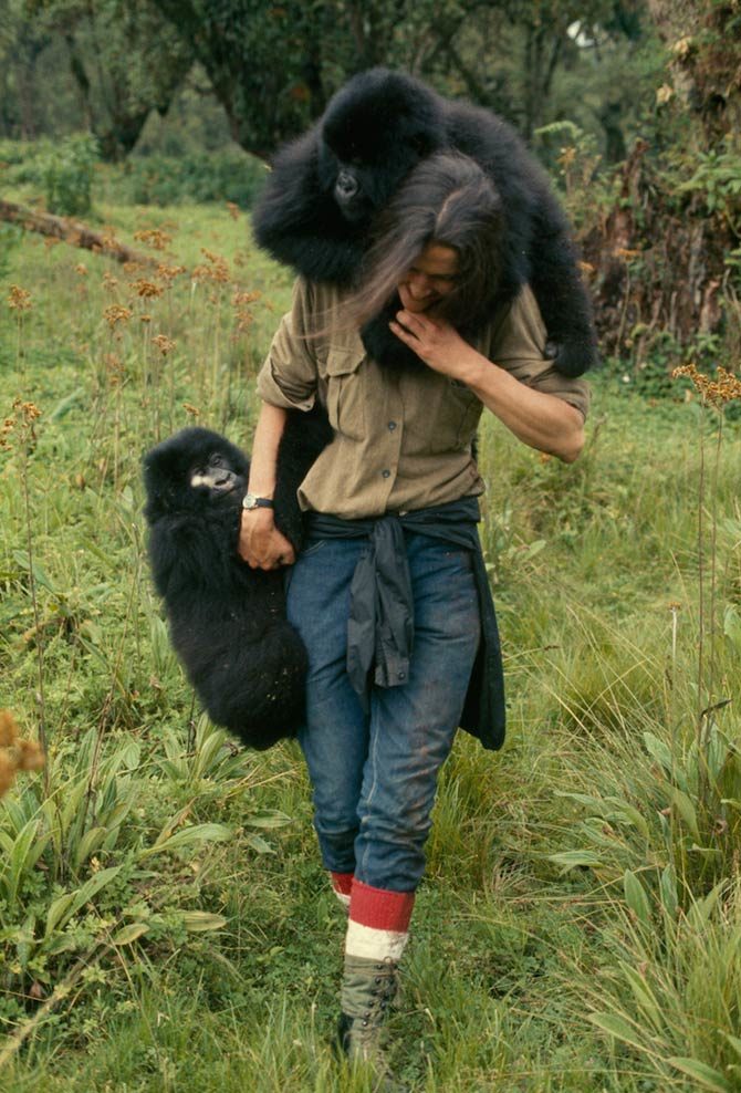 dian fossey