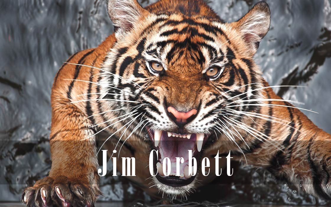 Jim Corbett – man-eater hunter Jim Corbett – man-eater hunter