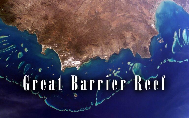 great-barrier-reef-dinoanimals