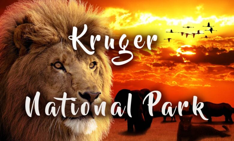 Africa | DinoAnimals.com - Part 4